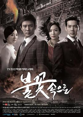 seo优化规划方案